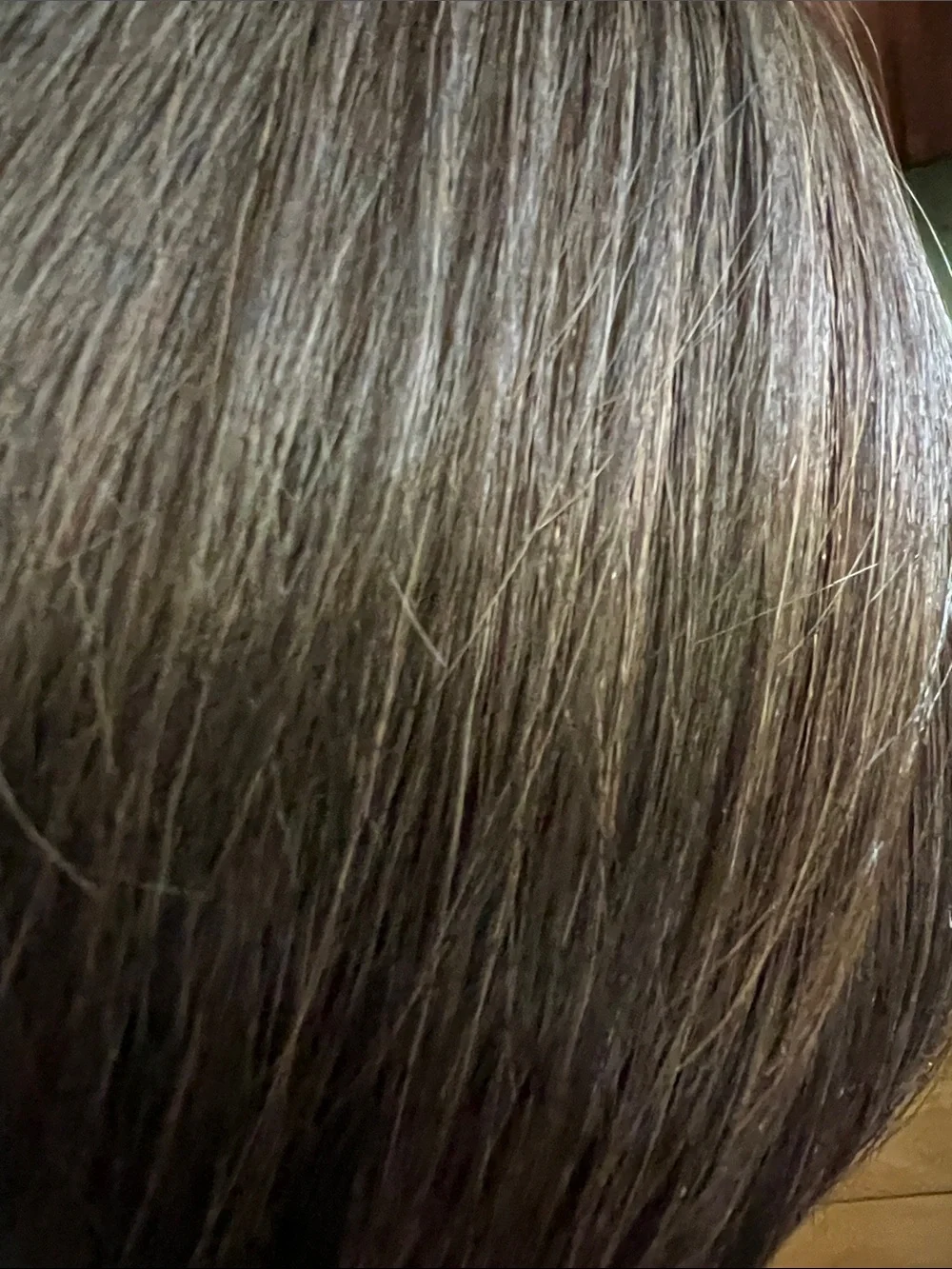 Short Layered Women's Wig in Chestnut Brown